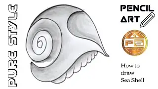 how to draw Seashell | Pencil Art #purestyle #howtodraw #drawingtutorial
