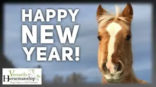 HAPPY NEW YEAR! // Versatile Horsemanship
