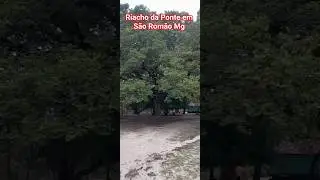 Riacho da Ponte em S&atilde;o Rom&atilde;o Mg #fazenda #paisagemnatural #pescaria #curtindoapraia #praias #pesca