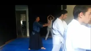 Aikido Taisabaki - Shiho-giri - Empty Handed
