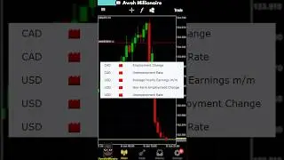 USDJPY During NFP Forex News Trading Strategy 📉