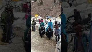 Funny Yak ride 😂🤣