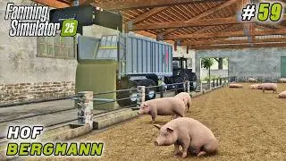 Мы потратили все на свиней… А потом пришлось быстро отыграть деньги | FS 25 | Хоф Бергманн | Тайм...