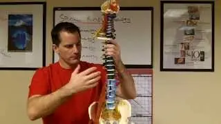 Weekly Video - Vertebral Subluxation Complex