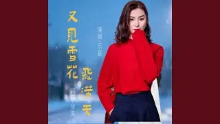 又见雪花飞满天