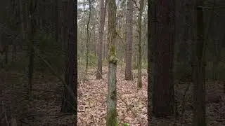 Osiedle Wilga - działka rekreacyjna