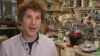GENE GUN SHOOTS DOWN ALL FLU STRAINS?
