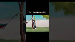 When you see a big a spider #memes #funny #relatable
