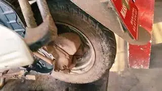 MASSDCJ7429(SH) Honda Activa 125 Starting Complaint & General Service 