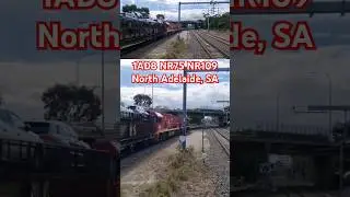 1AD8 goes through North Adelaide with NR75 (Ghan) + NR109 (Ghan) #shorts #seb #train #trains #viral