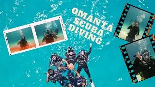 Experience the underwater world / Scuba diving 4k
