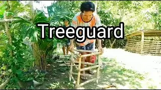 Gumawa kami ng Treeguard#Sanandresquezon#TUPAD#Bernierada