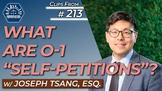O-1 