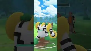 timinho unido de novo para mais batalhas  no pvp