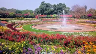 Mughal Garden India best garden. 100 of Roses varieties Must visit