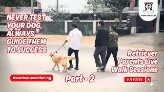 Never Test Your Dog, Guide Them to Success! Retriever Parent Live Walk Session