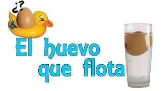 El huevo que flota (Experimentos Caseros)