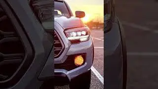 How Lamin-x Amber Fog Light Covers Look on a Toyota Tacoma #shorts