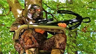 Top 5 Best New Crossbows That Are At Another Level 2022