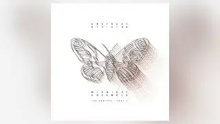 Abstract Division - Solar Return (Polygonia Remix) [Dynamic Reflection]