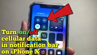 How to turn on or off cellular data in notification bar on iPhone X