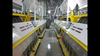 color sorter machine for sorting corn, Email:sun@visionsort.cn