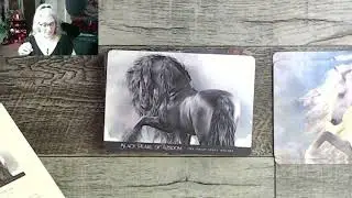 НОВЫЙ РЕЛИЗ!!! Глубокое погружение и тест-драйв Oracle of the Sacred Horse