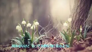 玉置浩二　MR LONELY 歌詞付き