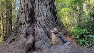 Taught by Giants
