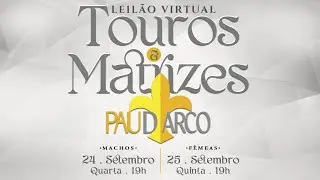 LOTE 28   NON A557