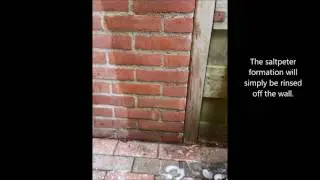 Use EcoCal to remove limescale and white stains from walls, facades and bricks