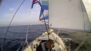 Silverrudder 2016