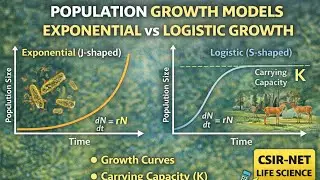 Population Growth Models | Exponential vs Logistic Growth