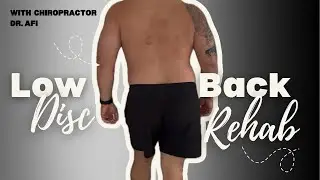 Low back disc injury rehab day 1