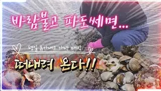 «Никогда не выходите на улицу в такие дни... тогда морепродукты, наоборот, сорвутся в клочья».