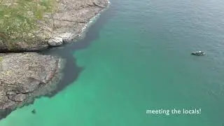 Swimming with the Seals at Mingulay