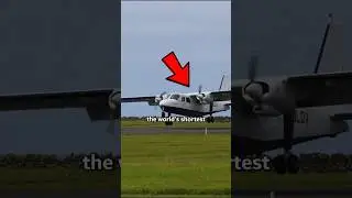 The World's Shortest Flight