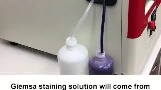 HANABI S1020 Chromosome Stainer - ADS Biotec