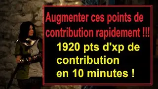 [BDO] - Guide pour augmenter ces points de contribution rapidement !