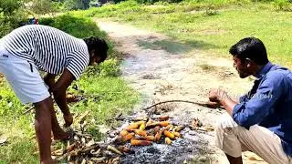 Kankul Kalusudu Ela
