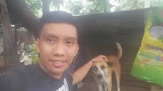 NILIBOT KO ANG MUNTING MANUKAN AT TINIGNAN KO ANG MGA ALAGA KONG MGA MANOK #MARUBreederGameFowl