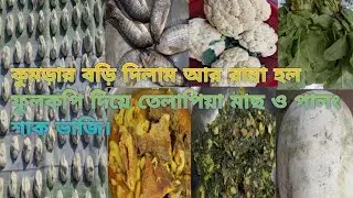 কুমড়ার বড়ি দিলাম আর রান্না হল ফুলকপি দিয়ে তেলাপিয়া মাছ ও পালং শাক ভাজি।