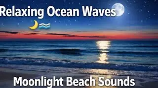 Relaxing Ocean Waves at Night 🌙 Moonlight Beach Sounds for Deep Sleep & Stress Relief