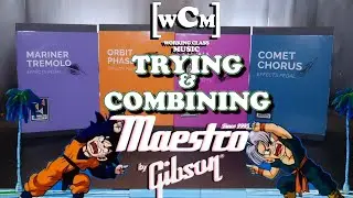 Maestro Modulation Pedals Review(Gibson) | Working Class Music