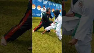 OK Let's Go #okletsgo #indonesia #martialarts #pencaksilat #sports #shorts #viral #video