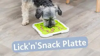 TRIXIE Lick'n'Snack plate - activity & relaxation for your dog