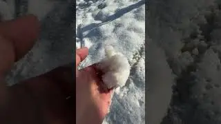 Gelben Schnee essen 😋🤮