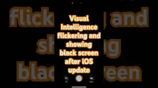 Visual Intelligence flickering and showing black screen iphone 16 pro max #apple #ios #update #bug