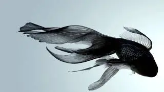 demodemon - buran