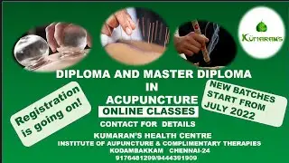 ACUPUNCTURE //ONLINE CLASSES